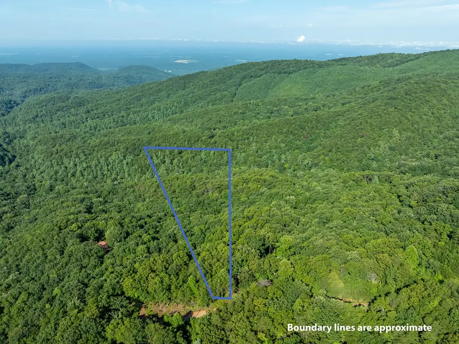 Lot 9 Brushy Top Drive, Chatsworth, GA 30705 - #3
