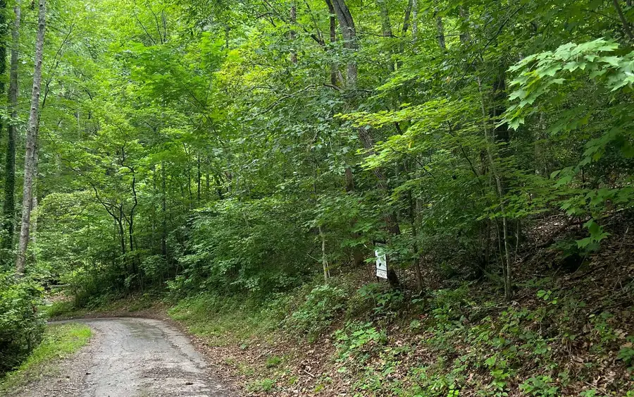 LOT 12 Kilpatrick Point Terrace, Hayesville, NC 28904 - Image #2