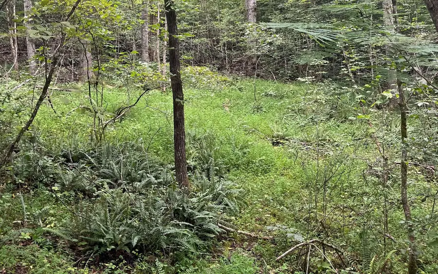 LOT 12 Kilpatrick Point Terrace, Hayesville, NC 28904 - Image #3