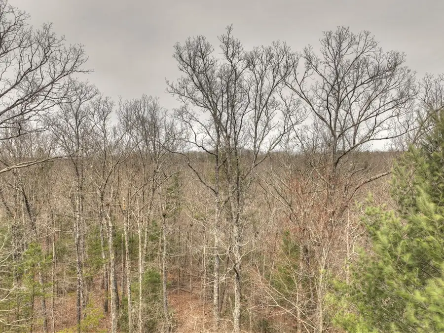 0 Dallas Lane, Blue Ridge, GA 30513 - Image #3