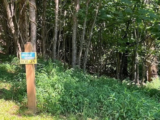 Lot 23 Bear Paw Lane, Hiawassee, GA 30546 - Image #3