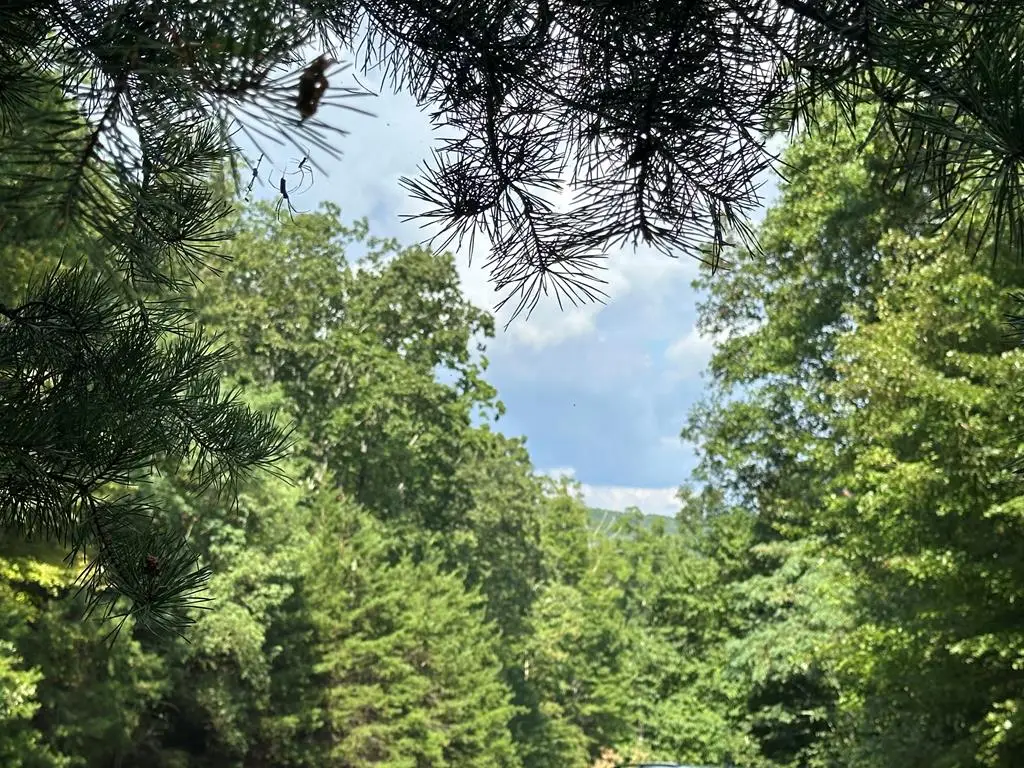 257 Andes Ridge, South Gilmer, GA 30175 - Image #1