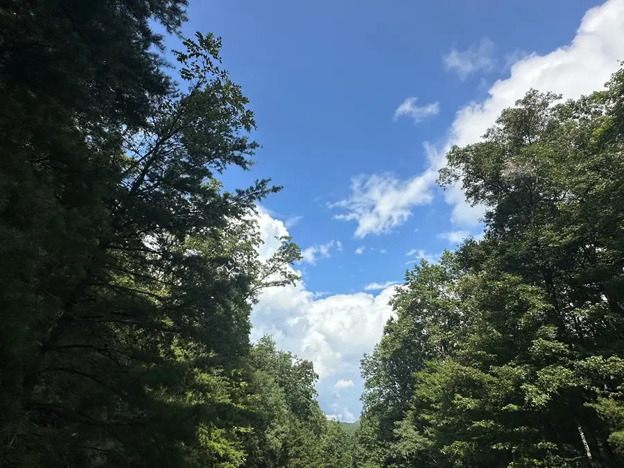 257 Andes Ridge, South Gilmer, GA 30175 - Image #3