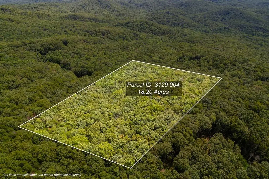 18 ACRES S Piney Spur Road S, Ellijay, GA 30536 - Image #1