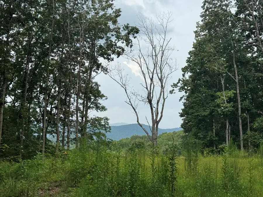 18 ACRES S Piney Spur Road S, Ellijay, GA 30536 - Image #2