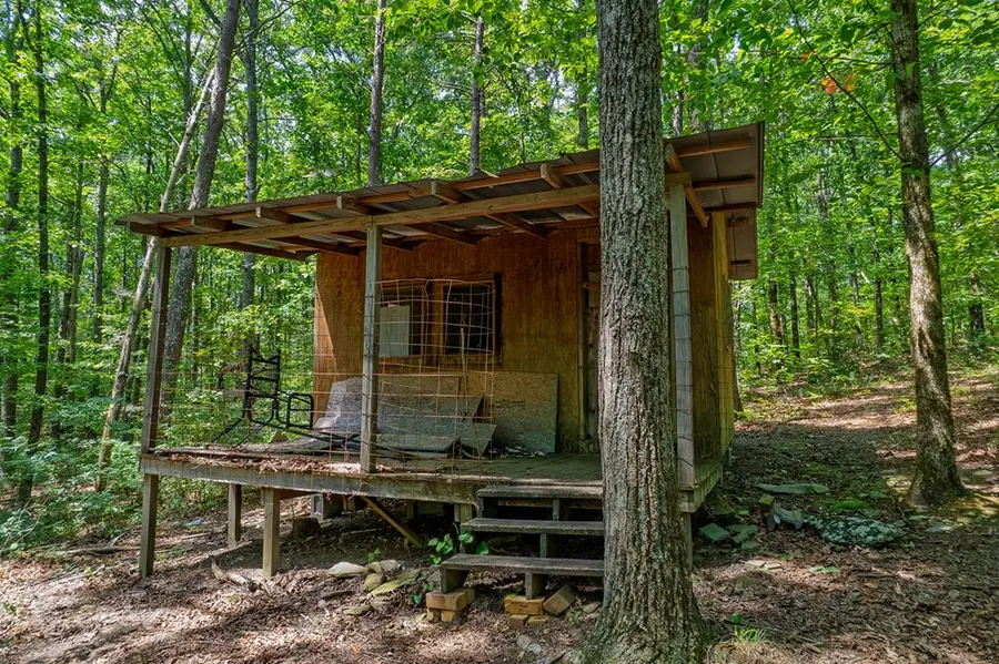 18 ACRES S Piney Spur Road S, Ellijay, GA 30536 - Image #3