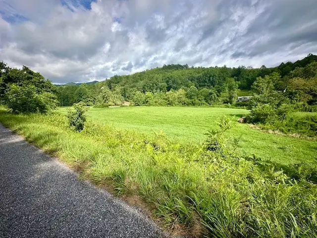 Tract 1A Thumping Creek Road, Hayesville, NC 28904 - Image #2