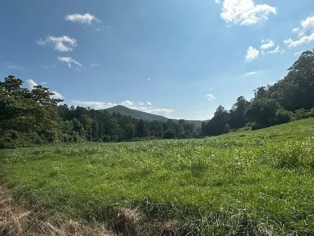 Tract 1A Thumping Creek Road, Hayesville, NC 28904 - Image #3