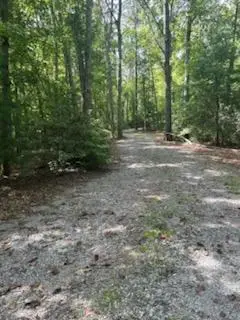 Tr 1 Rev Burch Cove Road, Hayesville, NC 28904 - Image #2