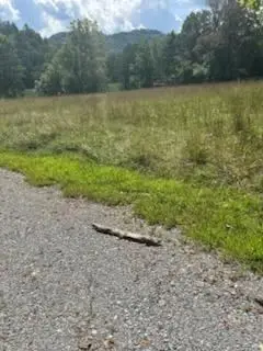 Tr 1 Rev Burch Cove Road, Hayesville, NC 28904 - Image #3