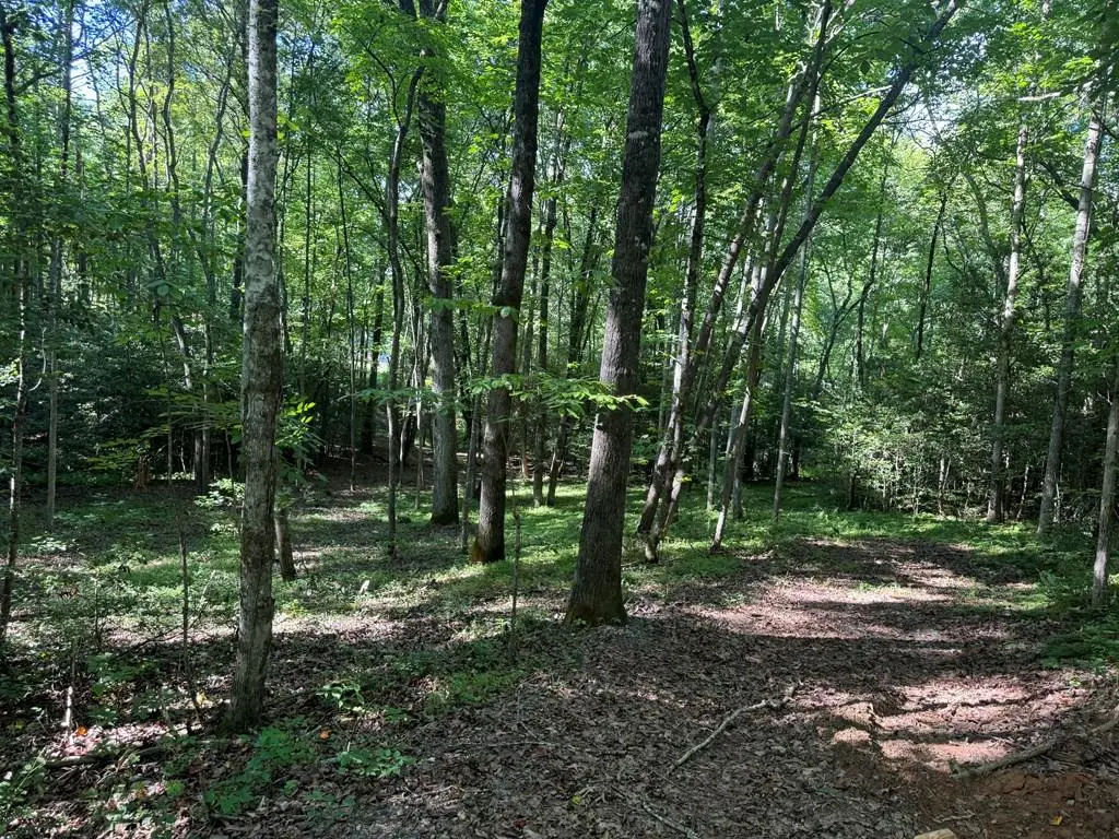 2 Acres Bennington Drive, Blairsville, GA 30512 - Image #1