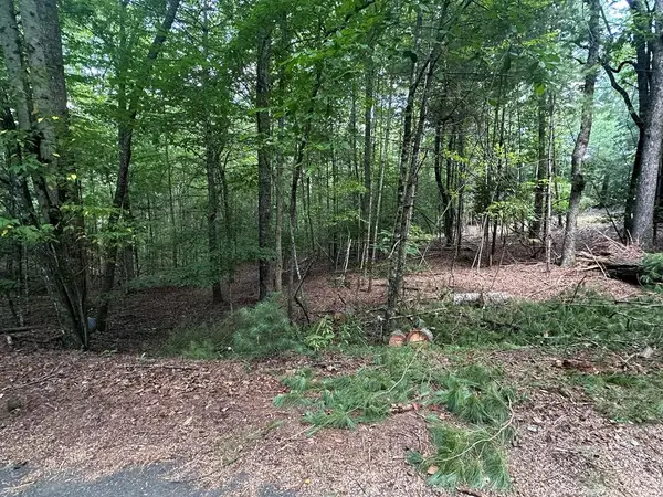 Lot D Timber Ridge Lane, Hayesville, NC 28904