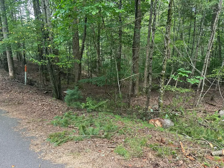 Lot D Timber Ridge Lane, Hayesville, NC 28904 - Image #2
