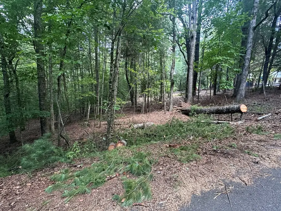 Lot D Timber Ridge Lane, Hayesville, NC 28904 - Image #3