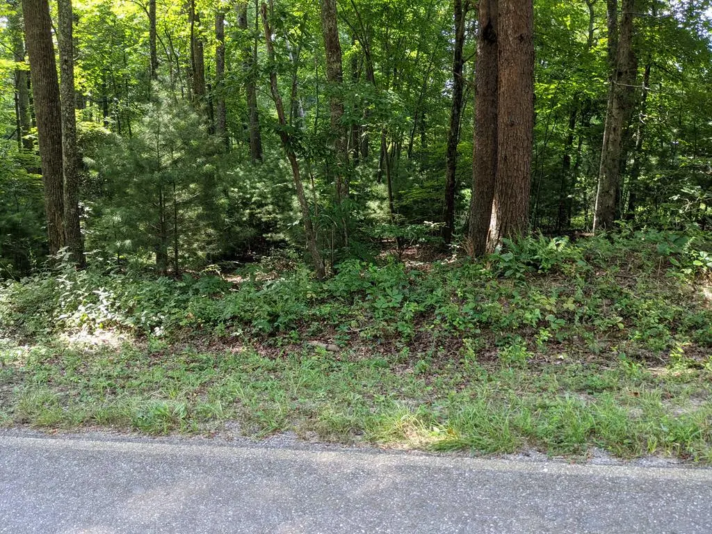 3.84 AC Matheson Cove Road, Hayesville, NC 28904 - Image #1