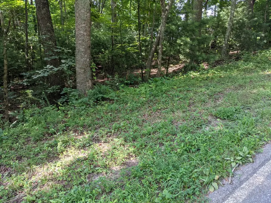 3.84 AC Matheson Cove Road, Hayesville, NC 28904 - Image #2