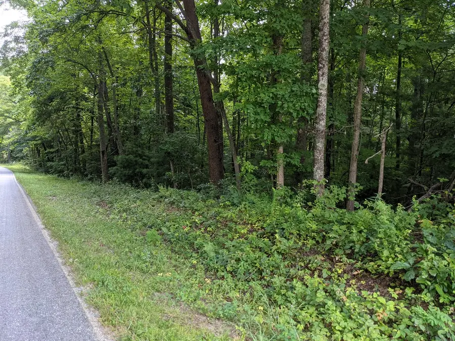 3.84 AC Matheson Cove Road, Hayesville, NC 28904 - Image #3