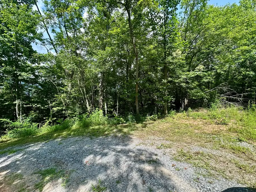 A&C Gabriel Ridge, Hayesville, NC 28904 - Image #2