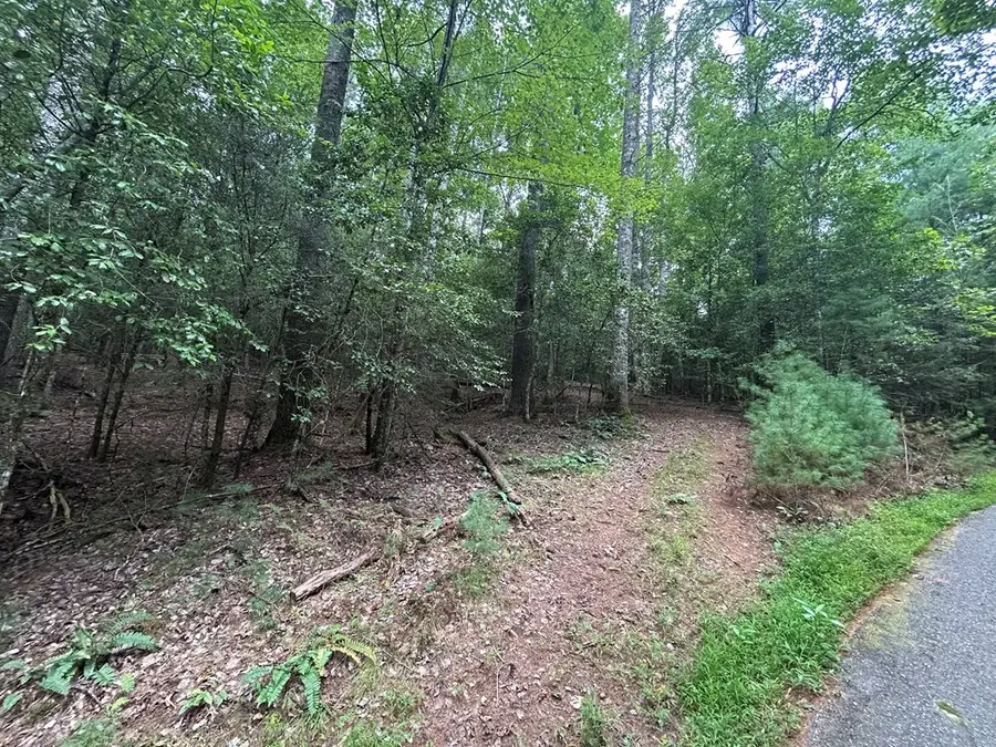Tract 1B Praise The Lord Lane, Blairsville, GA 30512 - Image #3