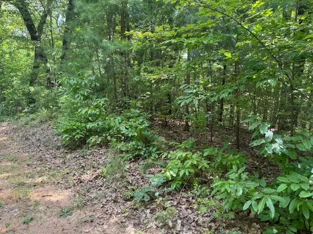 14 Abbott Mill Road, Ellijay, GA 30540 - Image #3