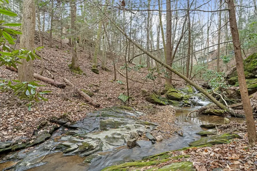 360 Indigo Drive, Ellijay, GA 30540 - #3
