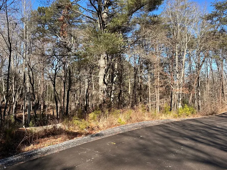 Lot 14 Fairview Way, Blue Ridge, GA 30560 - Image #2