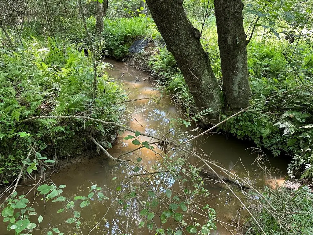 Lot 30 Fairview Drive, Morganton, GA 30560 - Image #1