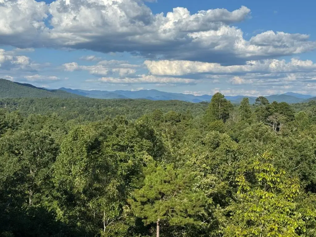 383 Point Overlook Trail, Murphy, NC 28906 - Image #1