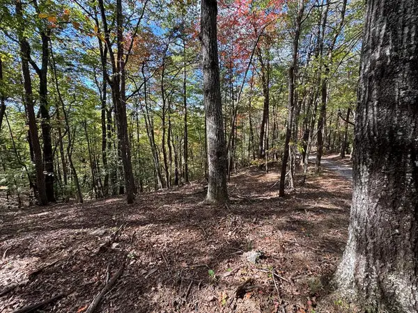 0 Peach Lane #51 & 52, Cherry Log, GA 30522