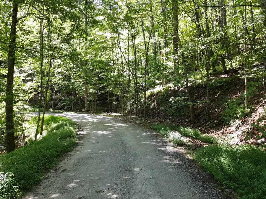 0 Bald Eagle Path, Cleveland, GA 30528 - Image #2