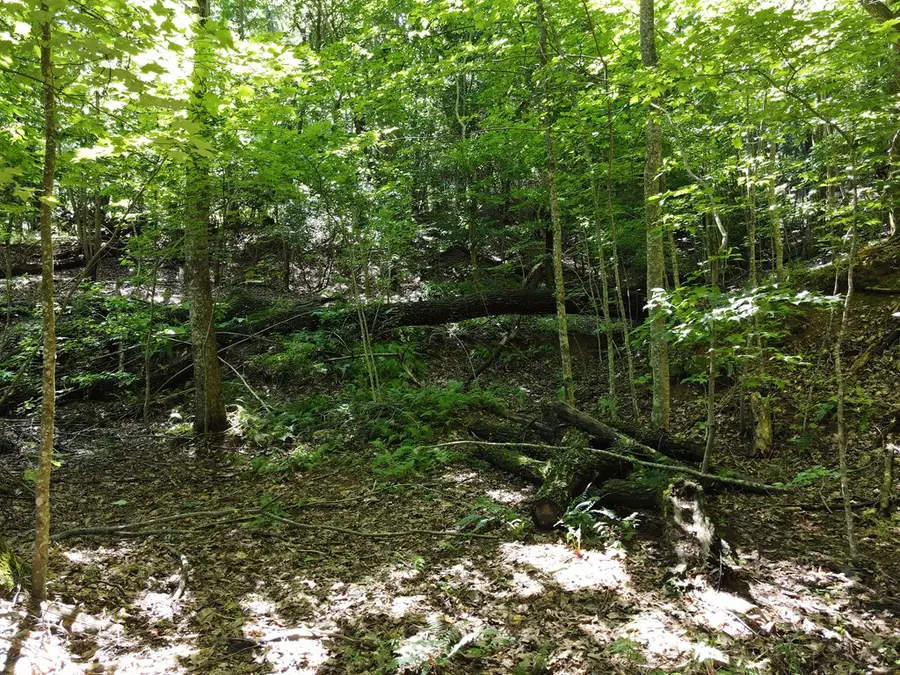 0 Bald Eagle Path, Cleveland, GA 30528 - Image #3