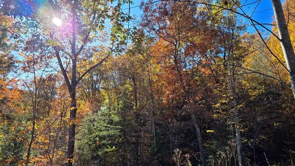 62 Green Cove Spur, Murphy, NC 28906