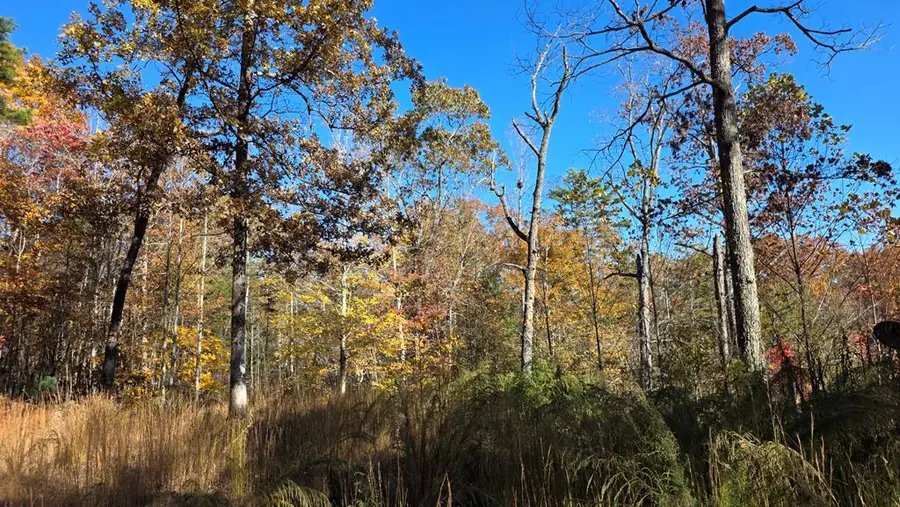 62 Green Cove Spur, Murphy, NC 28906 - Image #3