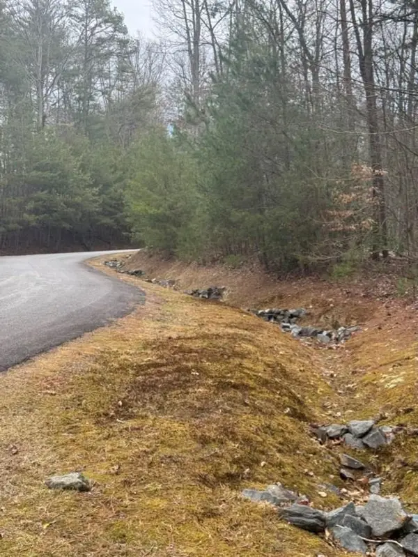 16R Leatherwood Mountain Road, Cherry Log, GA 30522