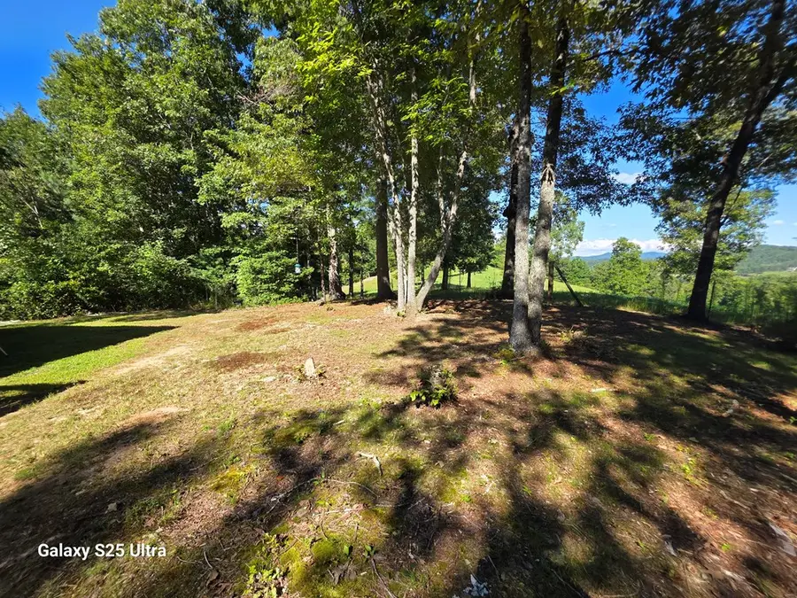 299 Tommys Lane, Murphy, NC 28906 - Image #3