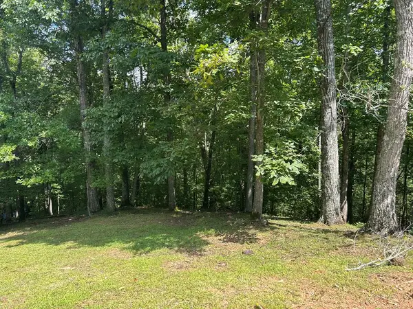 Lt 19 Bitter Creek Road, Blairsville, GA 30512