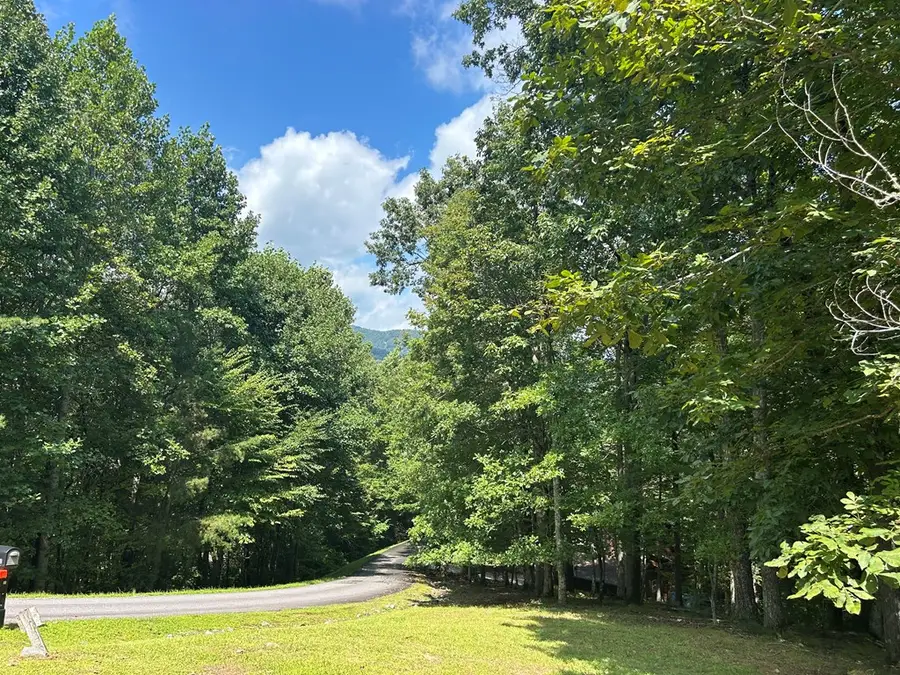 Lt 19 Bitter Creek Road, Blairsville, GA 30512 - Image #2