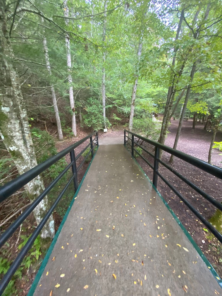 27 Mountain Creek Hollow Drive, Talking Rock, GA 30175 - Image #2