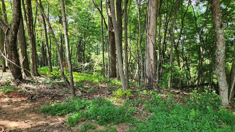 Lot 32 Calvender Road, Turtletown, TN 37317 - Image #3