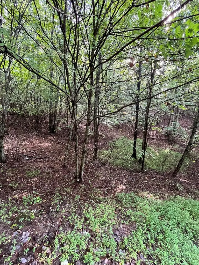 Lot 45AC Ash Branch Circle, Hayesville, NC 28904 - Image #1