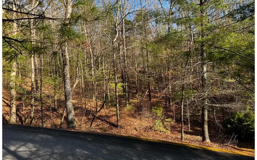 Lot 32 Oceola Drive, Ellijay, GA 30540 - Image #2