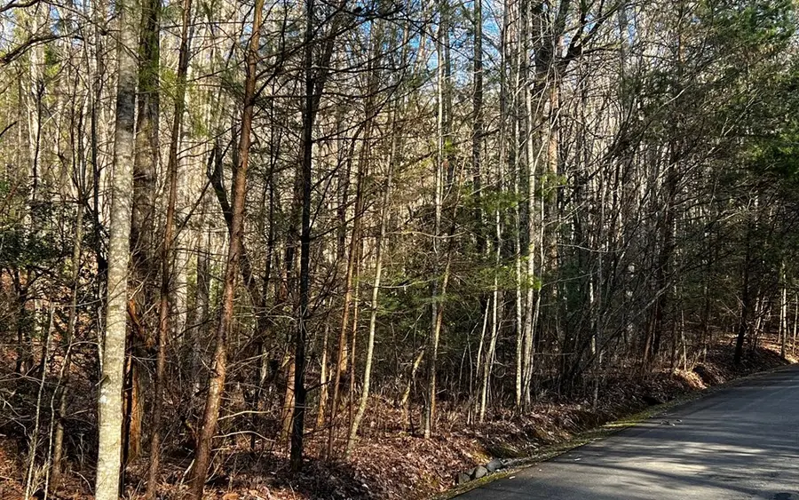 Lot 32 Oceola Drive, Ellijay, GA 30540 - Image #3