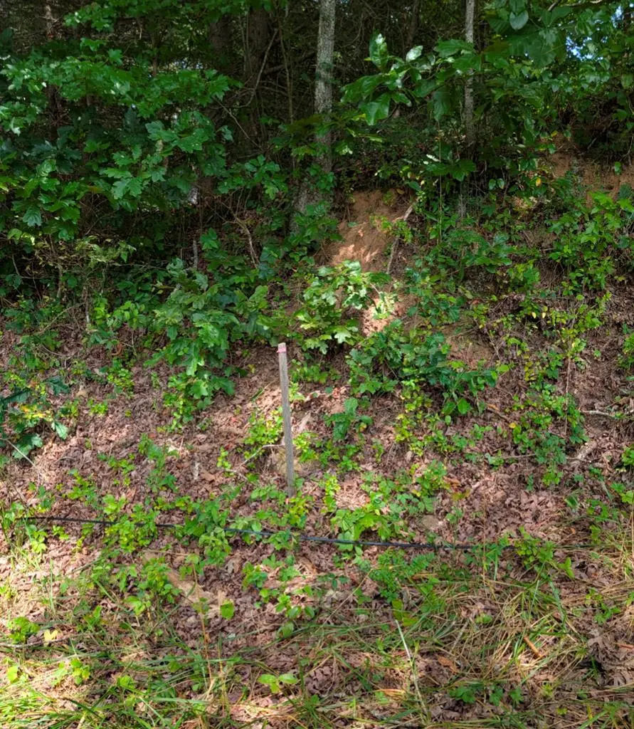 6.0 Old River Camp Road, Copperhill, TN 37317 - Image #2