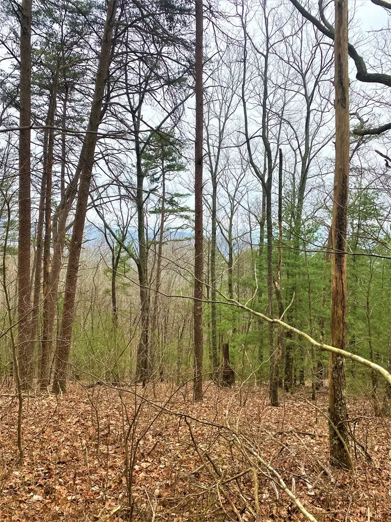 7 Lot Brushy Top Drive, Chatsworth, GA 30705 - Image #3