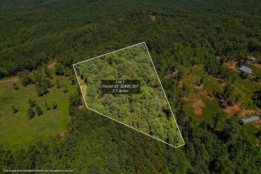 Lot 1 Harris Branch Road E, Ellijay, GA 30540 - Image #1