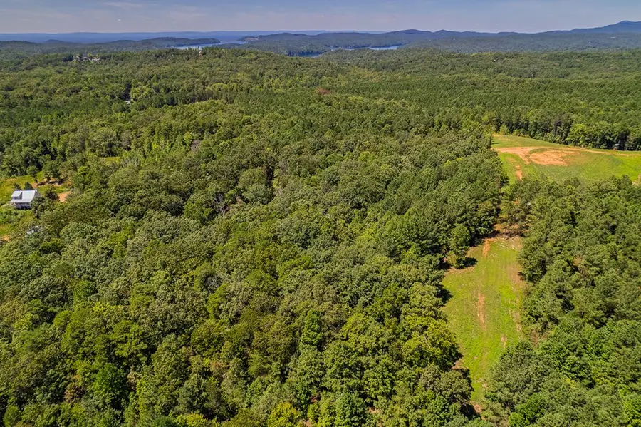 Lot 1 Harris Branch Road E, Ellijay, GA 30540 - Image #3