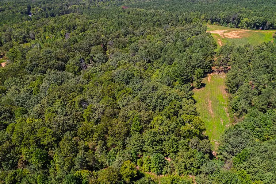 Lot 19 Harris Branch Road E, Ellijay, GA 30540 - Image #2