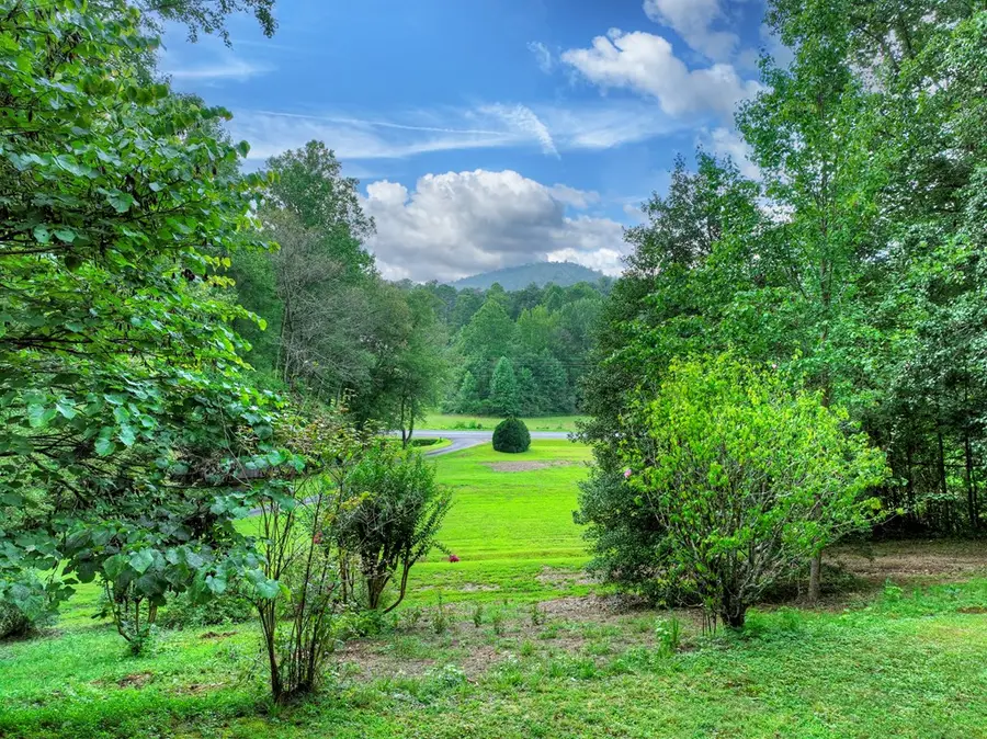 1362 Cherry Log Street, Cherry Log, GA 30522 - Image #2