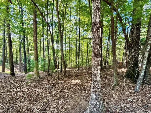0.55 AC Pine Ridge Road, Ellijay, GA 30540