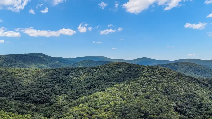 4.69 AC Rockwater Road, Cherry Log, GA 30522 - Image #2